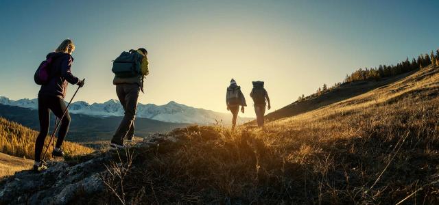 Group of People On Their Way to a Hike